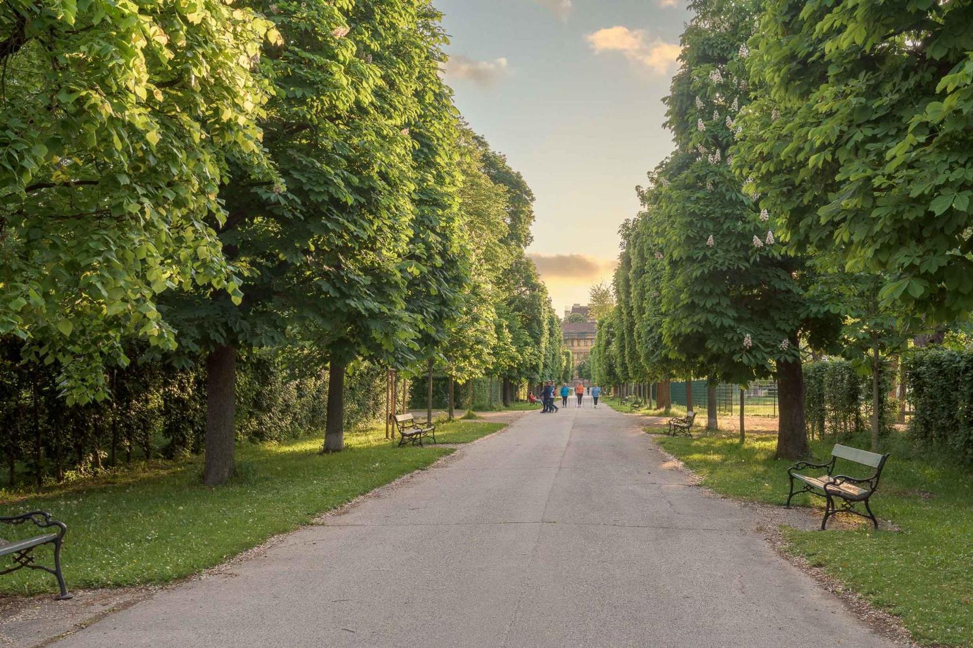 Limehome Vienna Karajangasse 외부 사진